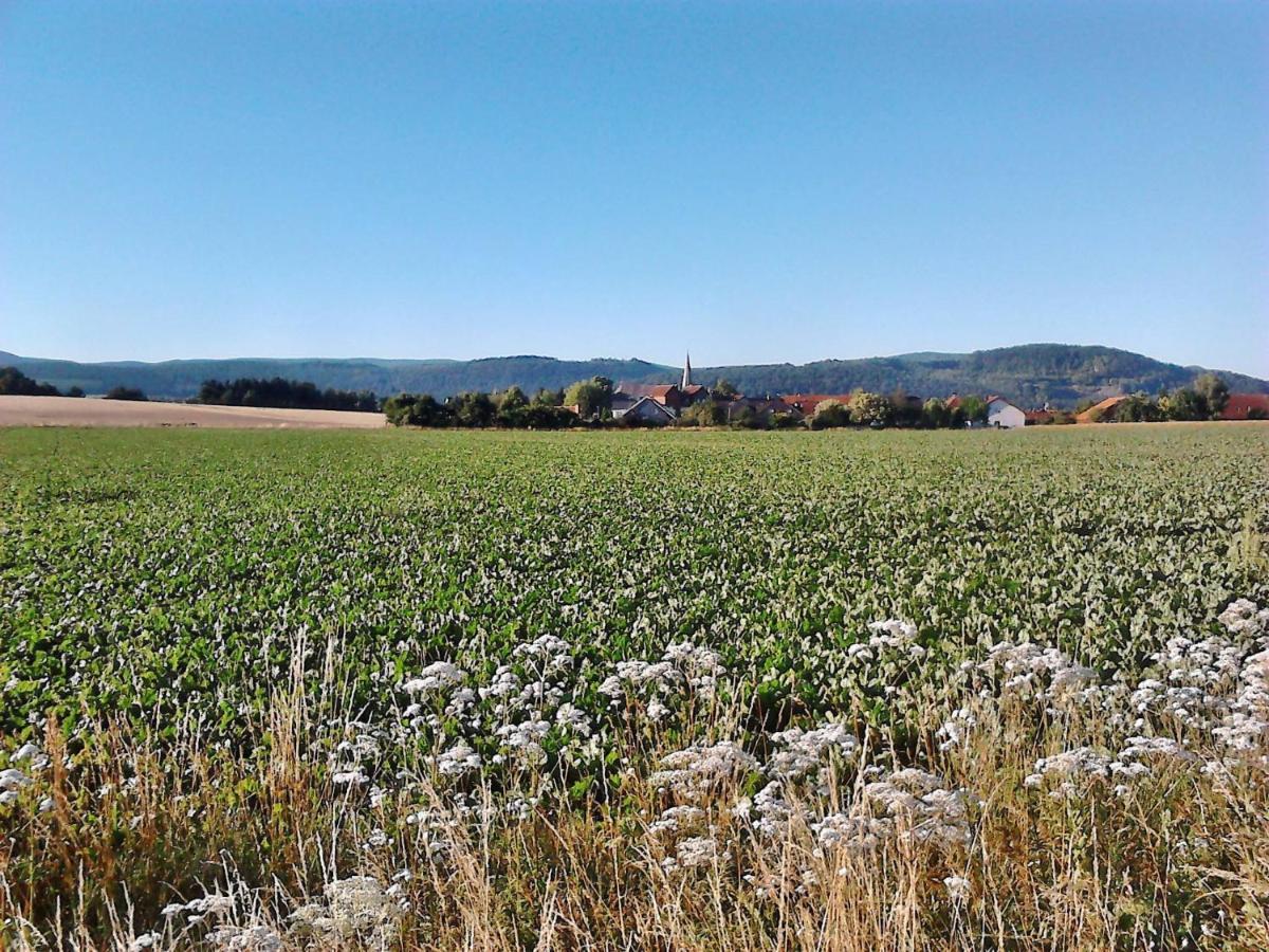 Apartment 2 Langelsheim Harz Bagian luar foto